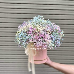 Hộp Hoa Baby Cầu Vồng 01 Nhỏ Nhỏ Xinh Xinh