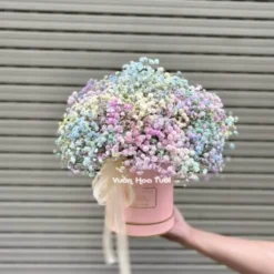 Hộp Hoa Baby Cầu Vồng 01 Nhỏ Nhỏ Xinh Xinh