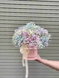 Hộp Hoa Baby Cầu Vồng 01 Nhỏ Nhỏ Xinh Xinh