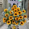 Hộp Hoa Hướng Dương Chúc Mừng Sinh Nhật