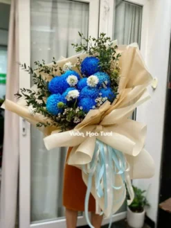 Bó hoa cúc mẫu đơn màu xanh dương