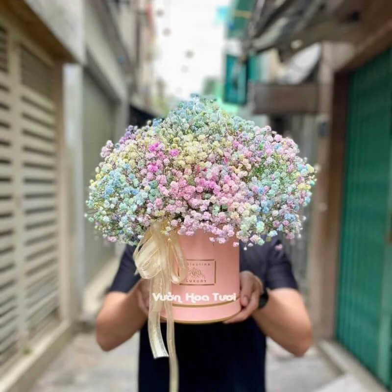 Hộp hoa baby cầu vồng