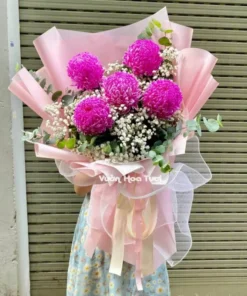 Bó hoa Cúc Mẫu Đơn Hồng Đậm