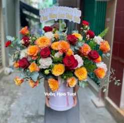 Lãng Hoa Tone cam Khai Trương Khai Trương