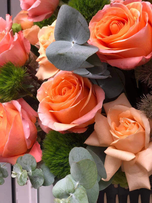 z3356110565156 d2d49491b3a263364df8e58ed1e0779f