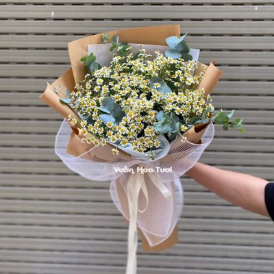 Bó hoa tana lá bạc làm quà tặng sinh nhật mẹ