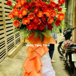 kệ hoa khai trương Đồng Tiền