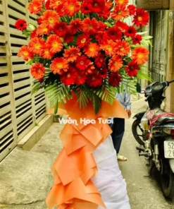 kệ hoa khai trương Đồng Tiền