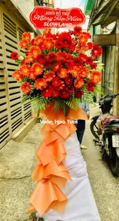 kệ hoa khai trương Đồng Tiền