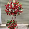 kệ hoa khai trương hồng đỏ 3