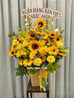 Lẵng Hoa Hồng Vàng Vũ Nữ