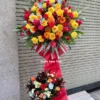 Kệ hoa khai trương sắc màu