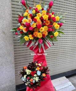 Kệ hoa khai trương sắc màu