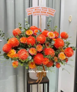 Lẵng hoa Cúc mẫu đơn Cam Spirit