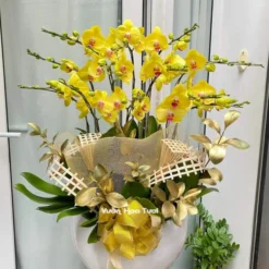 Lẵng hoa Lan Vàng 12 cành