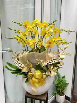 Lẵng hoa Lan Vàng 12 cành