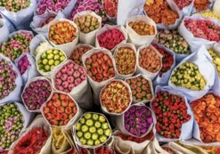 Chợ hoa sỉ ở TP.HCM