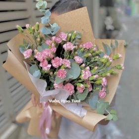 Hoa cẩm chướng - Hoa sinh nhật tặng chị