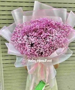 Bó Hoa Baby Hà Lan Hồng MS03