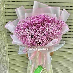 Bó Hoa Baby Hà Lan Hồng MS03