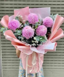 ảnh ý nghĩa hoa cúc mẫu đơn trong cuộc sống