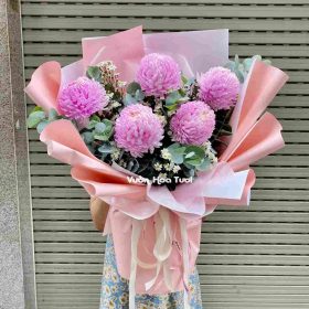 ảnh ý nghĩa hoa cúc mẫu đơn trong cuộc sống