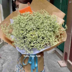 Bó Hoa Sao Gợi Nhớ