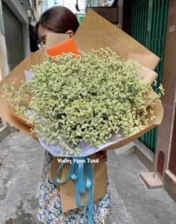 Bó Hoa Sao Gợi Nhớ