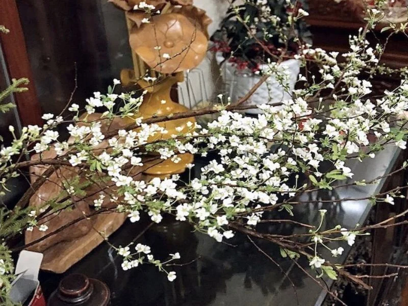 Ý nghĩa hoa tuyết mai