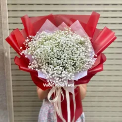 Bó Hoa Baby Trắng Red MS04