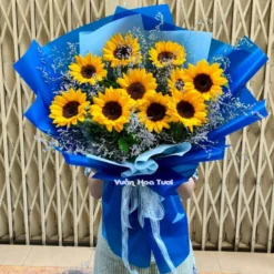 Bó Hoa Hướng Dương 10 Bông Blue
