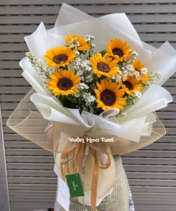 Bó Hoa Hướng Dương Thảo Trắng 8 Bông