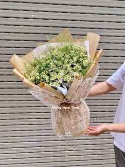 Bó Hoa Tana Cỏ Đồng Tiền LoveLife