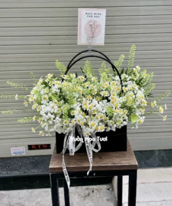 Giỏ Hoa Sinh Nhật Spirit Daisy Green