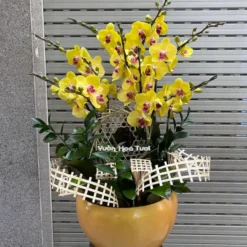 Lẵng Hoa Hồ Điệp Vàng 2 _ 9 Cành