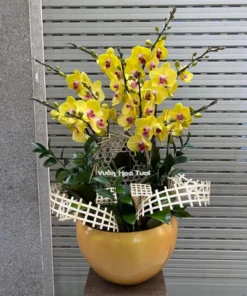 Lẵng Hoa Hồ Điệp Vàng 2 _ 9 Cành