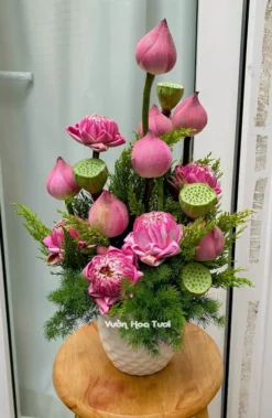 Lẵng Hoa Sen Hồng Sky