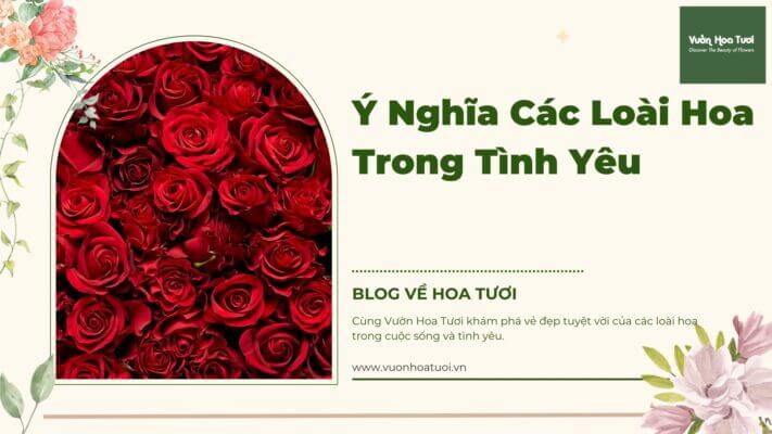 Bạn đã biết hoa nào phù hợp tặng tháng 6 hay chưa! Y-Nghia-Cac-Loai-Hoa-Trong-Tinh-Yeu-711x400