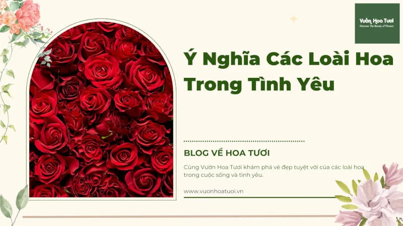 tìm hiểu về Ý Nghĩa Các Loài Hoa Trong Tình Yêu