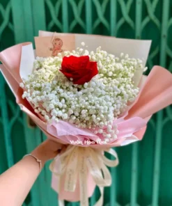 Bó Hoa Baby Trắng Hồng Đỏ