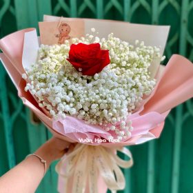 Bó Hoa Baby Trắng Hồng Đỏ