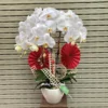 Chậu Lan Hồ Điệp Trắng 3 Cành <br> Hồng Phát Tuyệt Vời Chậu Lan Hồ Điệp Trắng 3 Cành