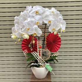 Chậu Lan Hồ Điệp Trắng 3 Cành