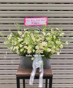 Giỏ Hoa Cúc Tana nhỏ