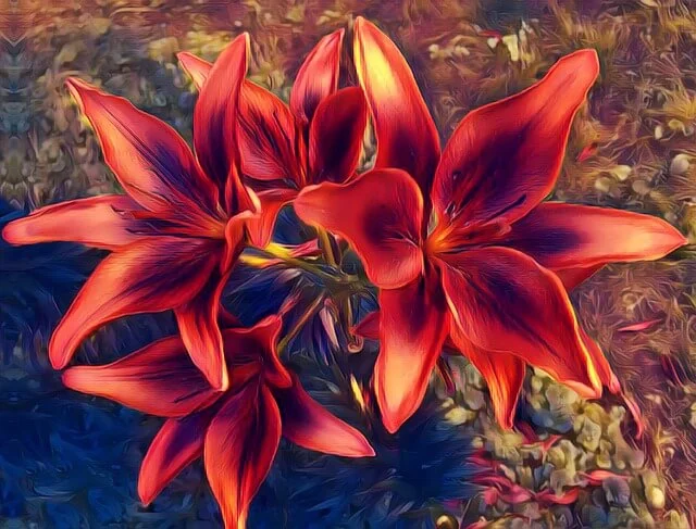 Hình ảnh Hoa Loa Kèn Đỏ