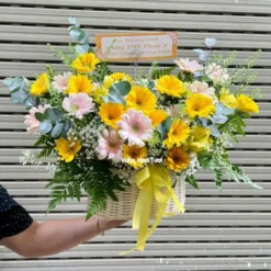 Giỏ Hoa Khai Trương Đồng Tiền Vàng