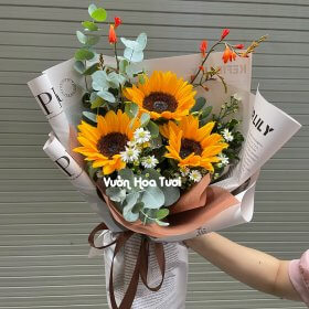 Bó Hoa Hướng Dương An Nhiên - Hoa Xin Lỗi Người Yêu