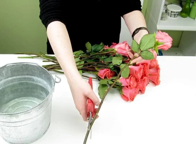 Cách Bảo Quản Hoa Tươi