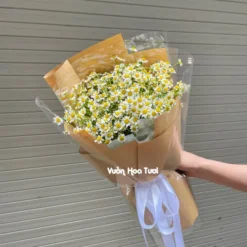 Bó Hoa Cúc Tana Đơn Giản Mini
