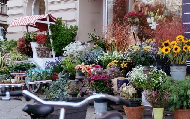 Khám phá về kinh nghiệm kinh doanh hoa tươi hay  Flower-shop-6763936_640-634x400